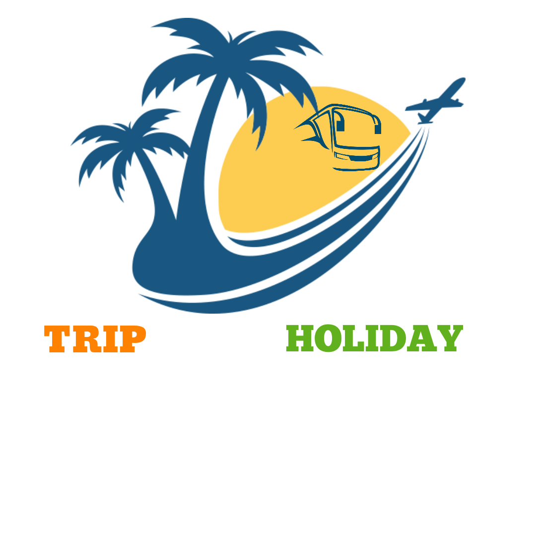 Trip India Holiday Logo
